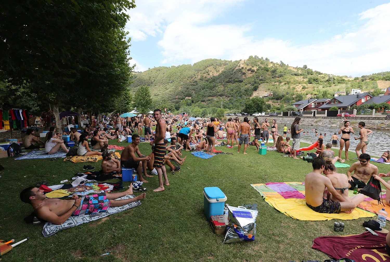 Fiestizaje Fiestizaje