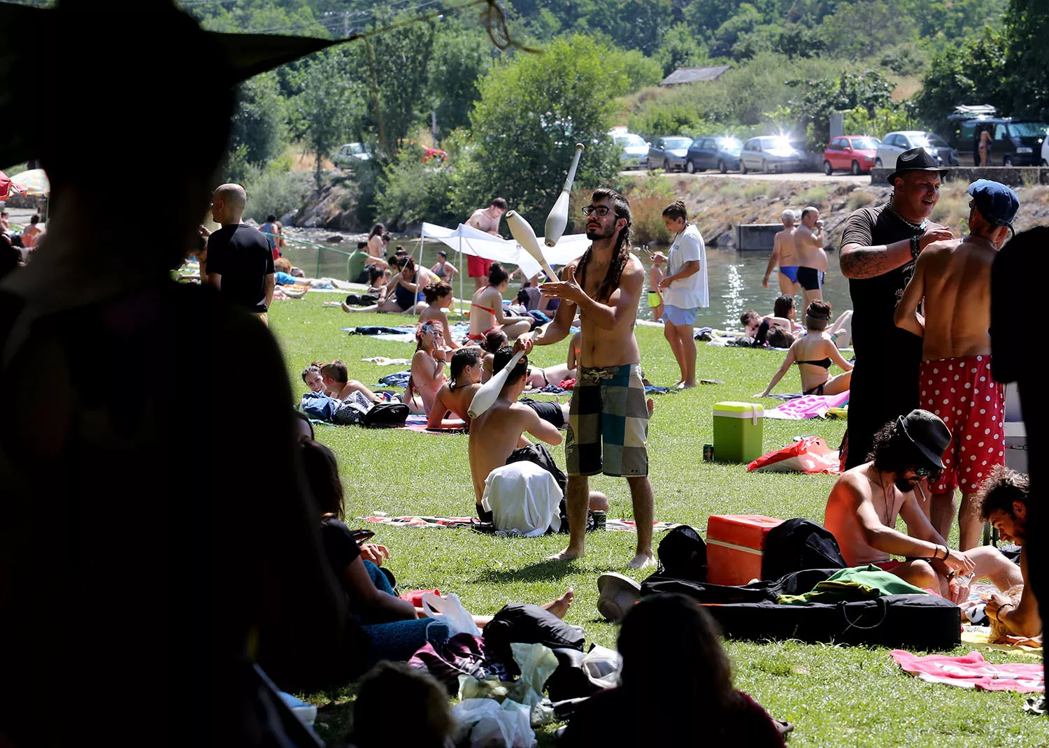 Fiestizaje Fiestizaje