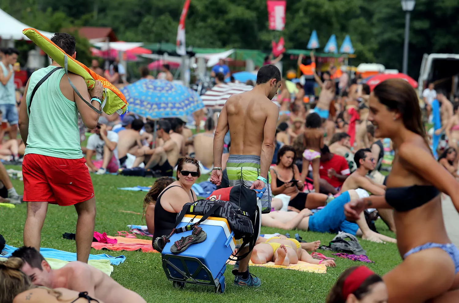 Fiestizaje. Fiestizaje.