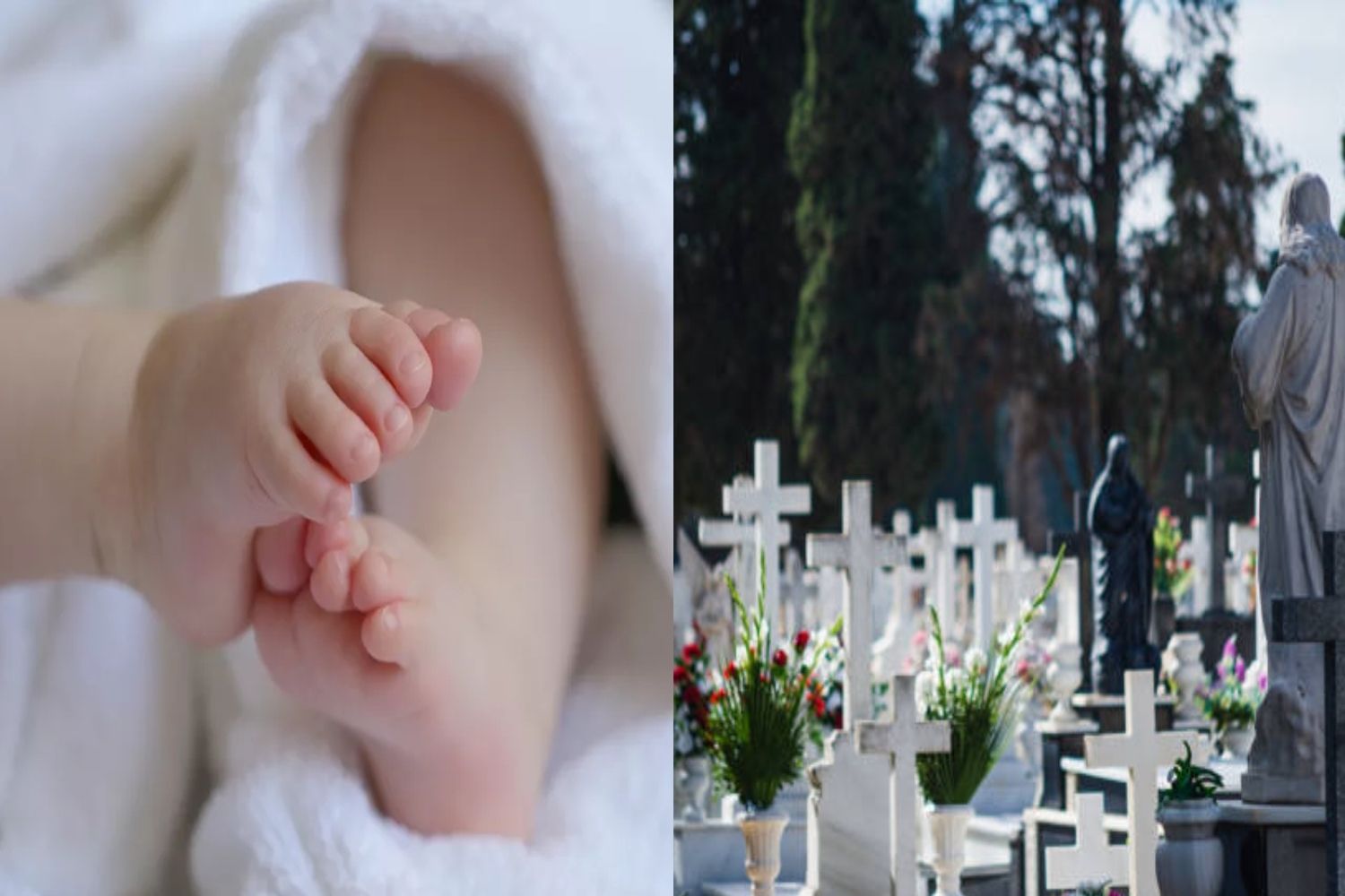 La provincia de León mantiene el desequilibrio poblacional: tres muertes por cada nuevo nacimiento