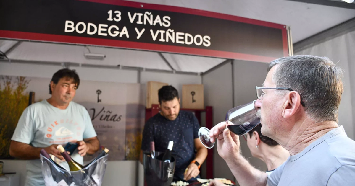 Vuelve la feria del vino de Ponferrada después de 13 años 'en barrica ...