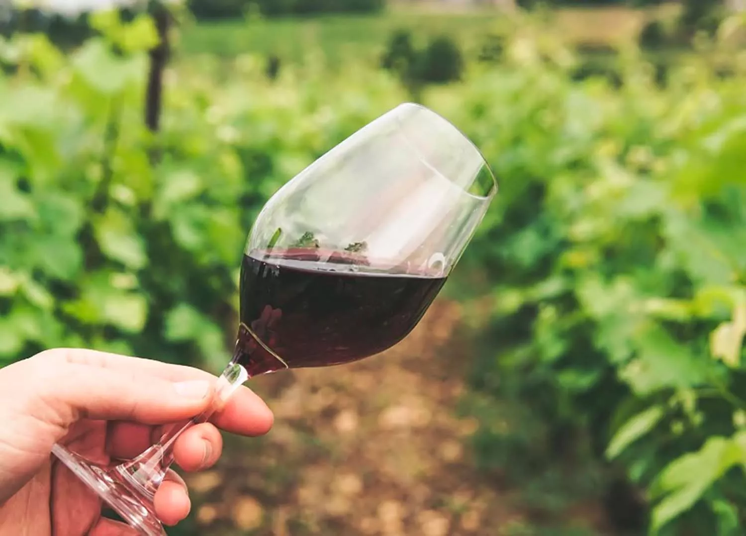 Foto de ASAJA Foto de ASAJA