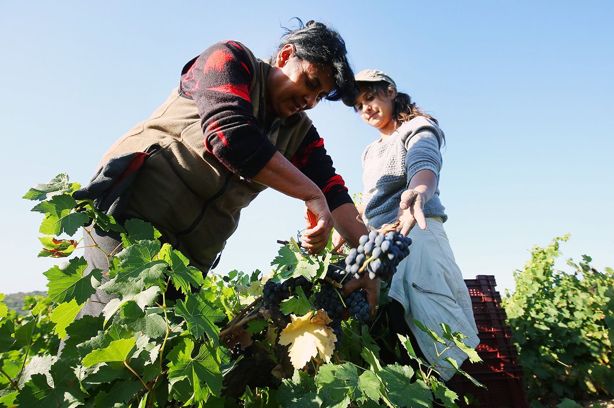 Día de la Mujer Rural | 9 municipios del Bierzo y Laciana acogerán el proyecto 'Empodérate' para lograr la participación de las mujeres en su entorno social Día de la Mujer Rural | 9 municipios del Bierzo y Laciana acogerán el proyecto 'Empodérate' para lograr la participación de las mujeres en su entorno social