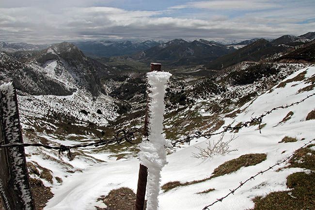 Peio García / ICAL.