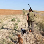 La Guardia Civil sorprende a cinco cazadores furtivos a bordo de un vehículo en Sobradillo (Salamanca)