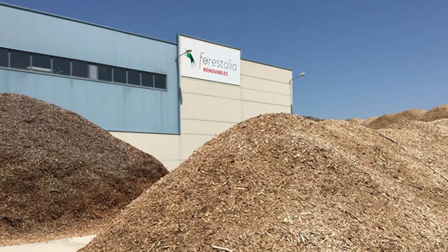 Planta de Forestalia en el Polígono El Bayo, en Cubillos del Sil 