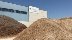 Planta de Forestalia en el Polígono El Bayo, en Cubillos del Sil 