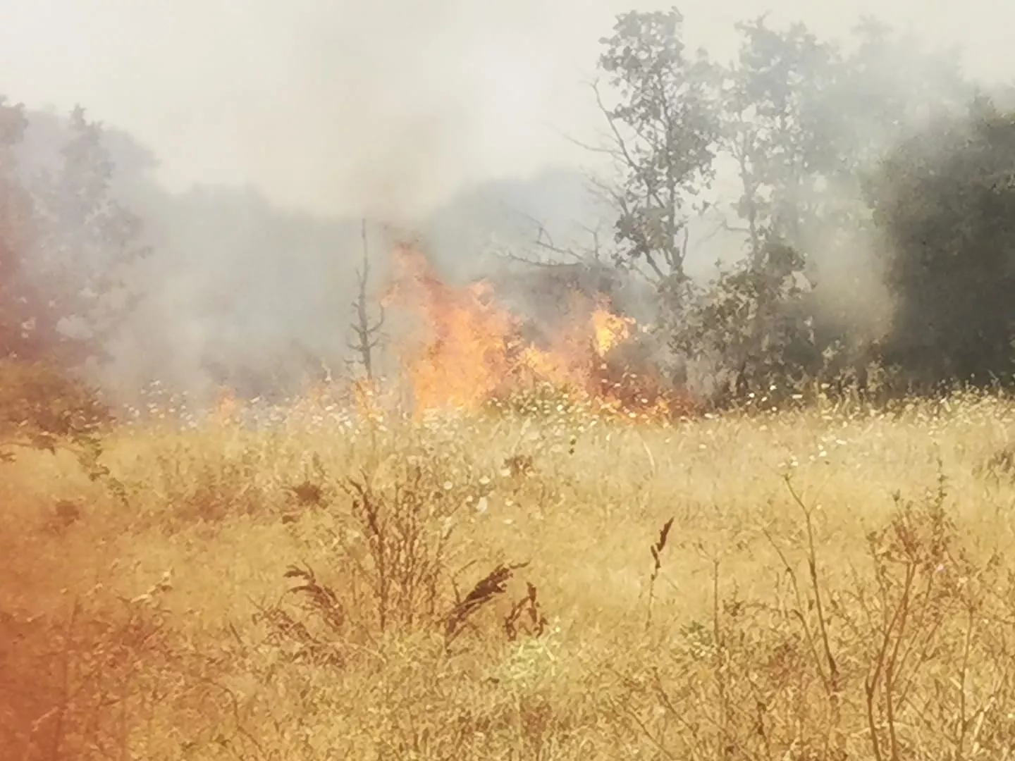 Incendio de Barrio Socuello | Cedidas a InfoBierzo