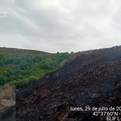 Incendio en Busmayor