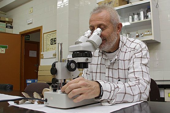 Arsenio Terón en su laboratorio (Peio García/ICAL)