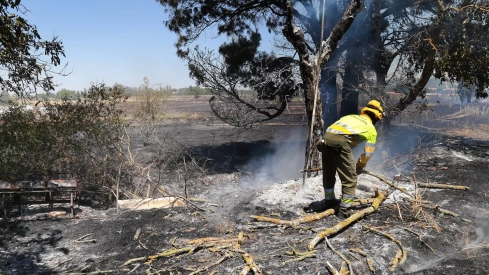 Incendio en unas tierras de cultivo en Palencia Incendio en unas tierras de cultivo en Palencia