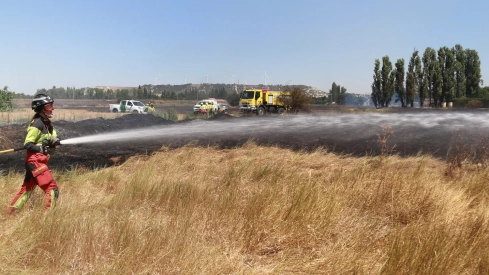 Incendio en unas tierras de cultivo en Palencia Incendio en unas tierras de cultivo en Palencia
