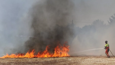 Incendio en unas tierras de cultivo en Palencia Incendio en unas tierras de cultivo en Palencia