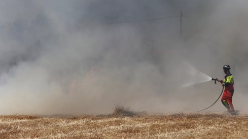 Incendio en unas tierras de cultivo en Palencia Incendio en unas tierras de cultivo en Palencia
