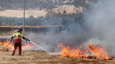 Incendio en unas tierras de cultivo en Palencia Incendio en unas tierras de cultivo en Palencia