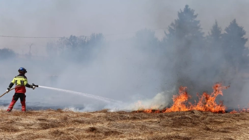 Incendio en unas tierras de cultivo en Palencia Incendio en unas tierras de cultivo en Palencia