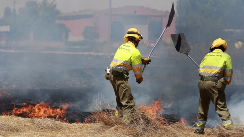 Incendio en unas tierras de cultivo en Palencia Incendio en unas tierras de cultivo en Palencia