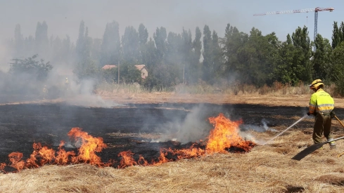 Incendio en unas tierras de cultivo en Palencia Incendio en unas tierras de cultivo en Palencia