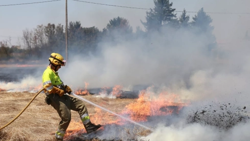 Incendio en unas tierras de cultivo en Palencia Incendio en unas tierras de cultivo en Palencia