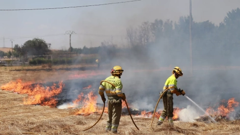 Incendio en unas tierras de cultivo en Palencia Incendio en unas tierras de cultivo en Palencia