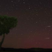 Perseidas en La Cepeda (5)