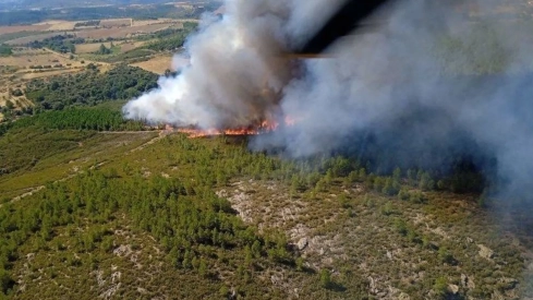 Declarado un incendio forestal de nivel 1 en Trabazos (Zamora) por posible afección a más de 30 hectáreas de arbolado