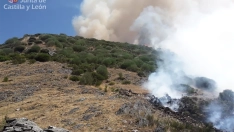 Incendio forestal de nivel 1 en Villablino (León) 