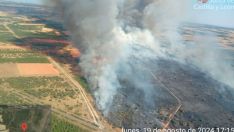 Incendio de Castrillo de los Polvazares (León)
