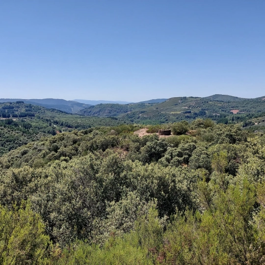 Bosque de Vega de Espinareda | Foto: Yvan López