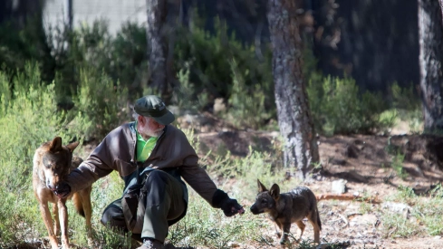 Más de 175.000 españoles tienen nombres inspirados en el lobo según una investigación en la que participa la ULE