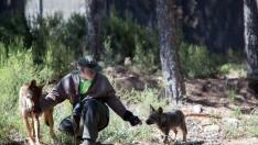 Más de 175.000 españoles tienen nombres inspirados en el lobo según una investigación en la que participa la ULE