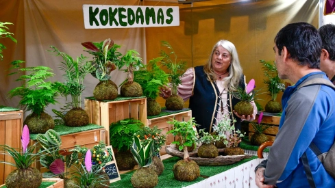 Mercado Medieval de La Encina 2024 (1)