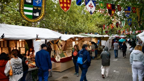 Mercado Medieval de La Encina 2024 (4)