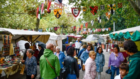 Mercado Medieval de La Encina 2024 (6)