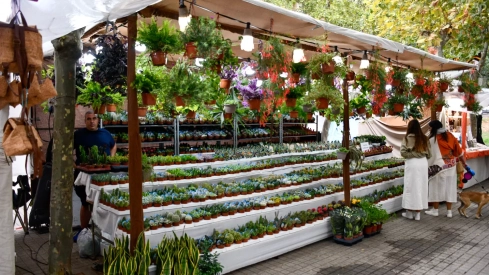 Mercado Medieval de La Encina 2024 (9)