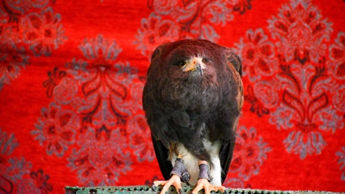 Mercado Medieval de La Encina 2024 (12)