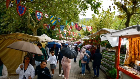 Mercado Medieval de La Encina 2024 (14)