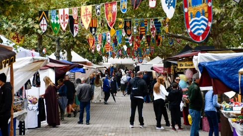 Mercado Medieval de La Encina 2024 (20)