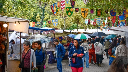 Mercado Medieval de La Encina 2024 (47)