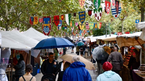 Mercado Medieval de La Encina 2024 (54)
