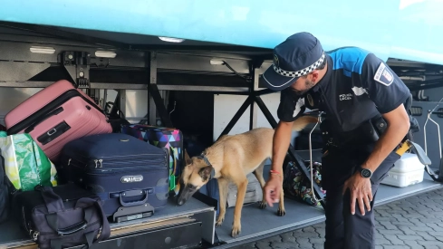 Un olfato sin escapatoria delictiva: La historia Urco, Gea y Nao los perros de la Unidad Canina de la Policía Local de Palencia