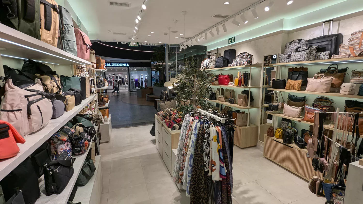 Misako en Ponferrada Misako en Ponferrada