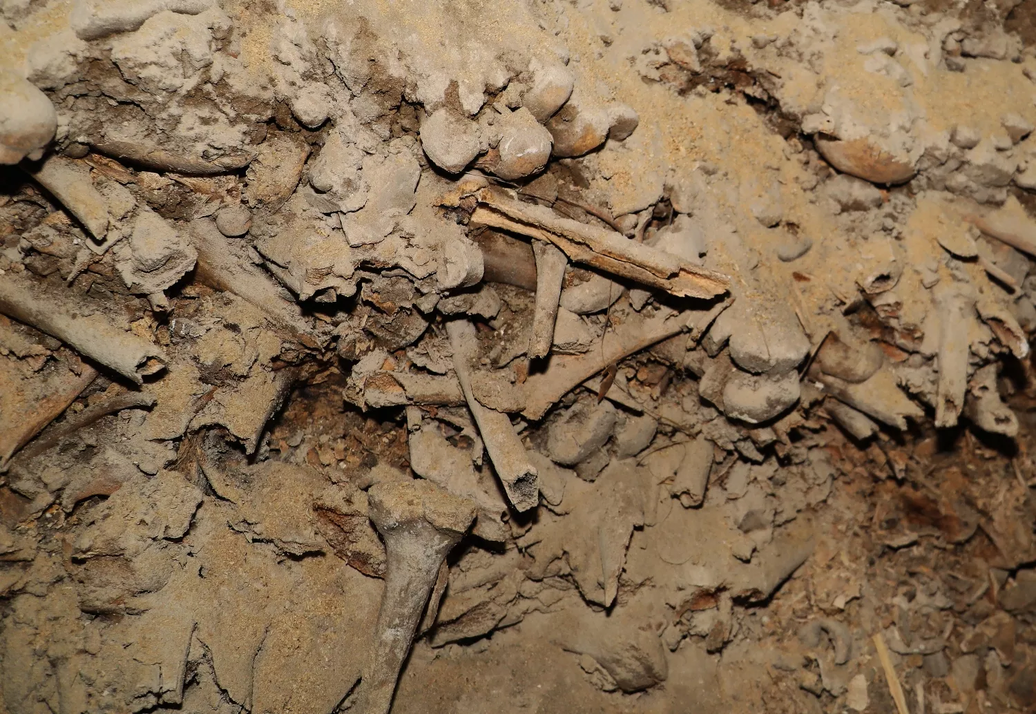 hallazgos subsuelo de la Catedral de Palencia (3) hallazgos subsuelo de la Catedral de Palencia (3)