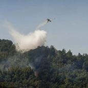 Vecinos afectados en el incendio de Brañuelas entre las localidades de Tremor de Abajo y Almagarinos 