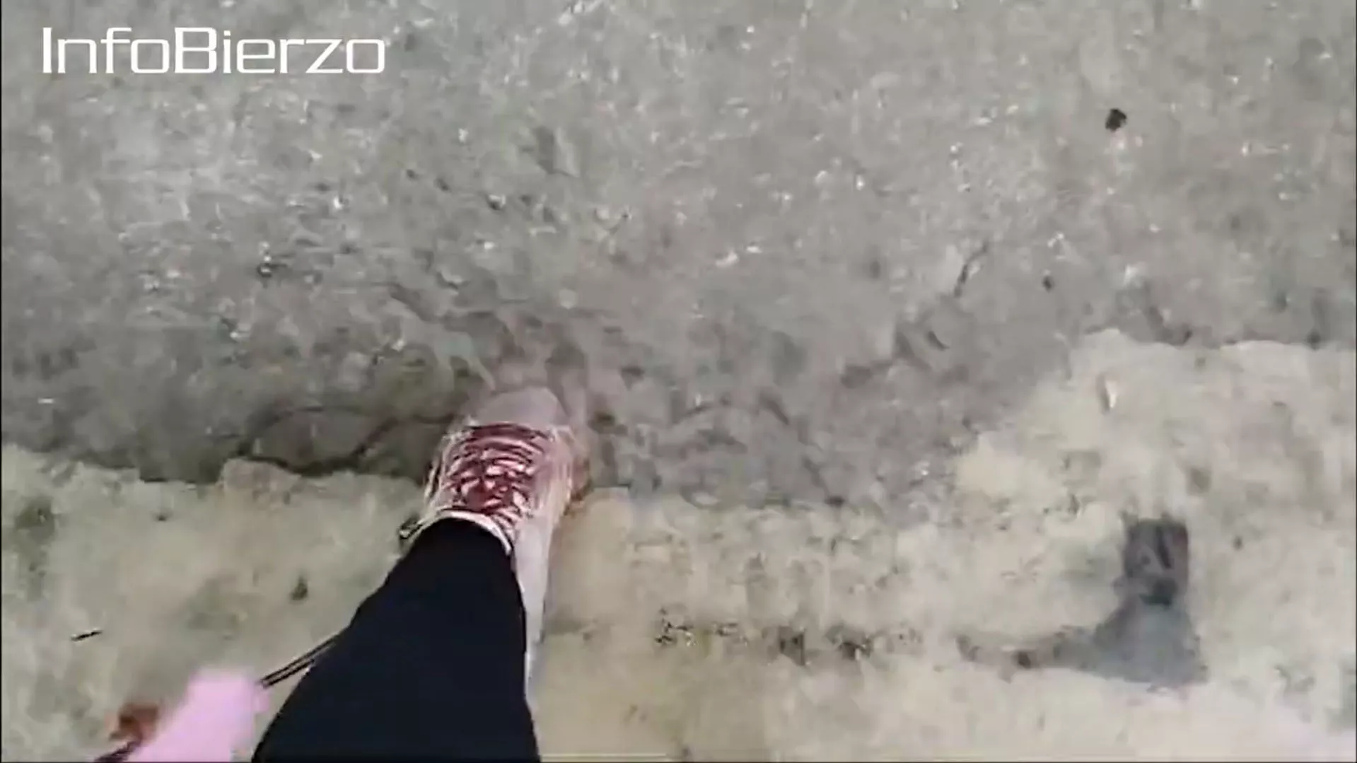 Así entran los alumnos del colegio Navaliegos cuando llueve Así entran los alumnos del colegio Navaliegos cuando llueve