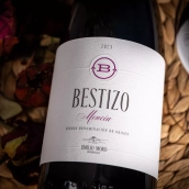 Bodegas Emilio Moro presenta su primer vino Mencía, Bestizo 2023 
