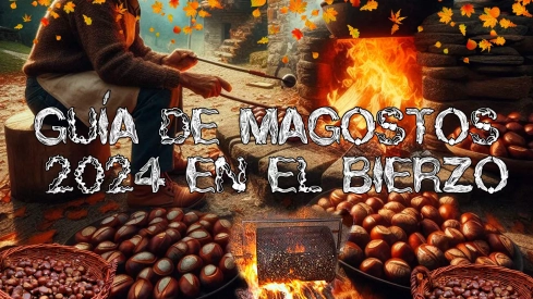 Guía de magostos 2024