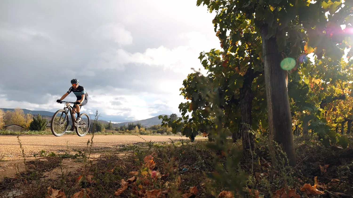 Imagen 3ª BTT Ruta do Viño de Valdeorras en 2023 Imagen 3ª BTT Ruta do Viño de Valdeorras en 2023