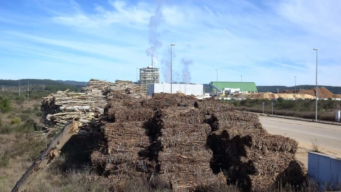 Actividad de la empresa Forestalia en el polígono industrial de Cubillos del Sil