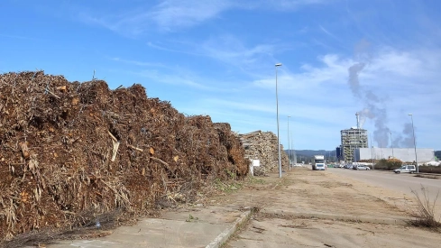 Actividad de la empresa Forestalia en el polígono industrial de Cubillos del Sil.